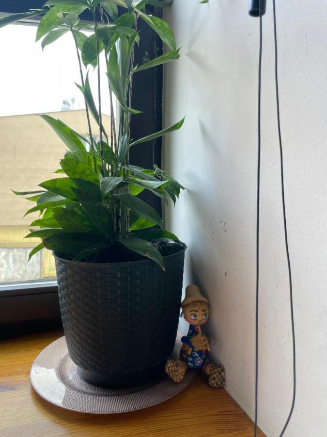ChełmApartament W Centrum Przy Studni 102M2アパートメント エクステリア 写真